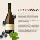 Vinho Argentino Angelica Zapata Chardonnay Alta 750ml