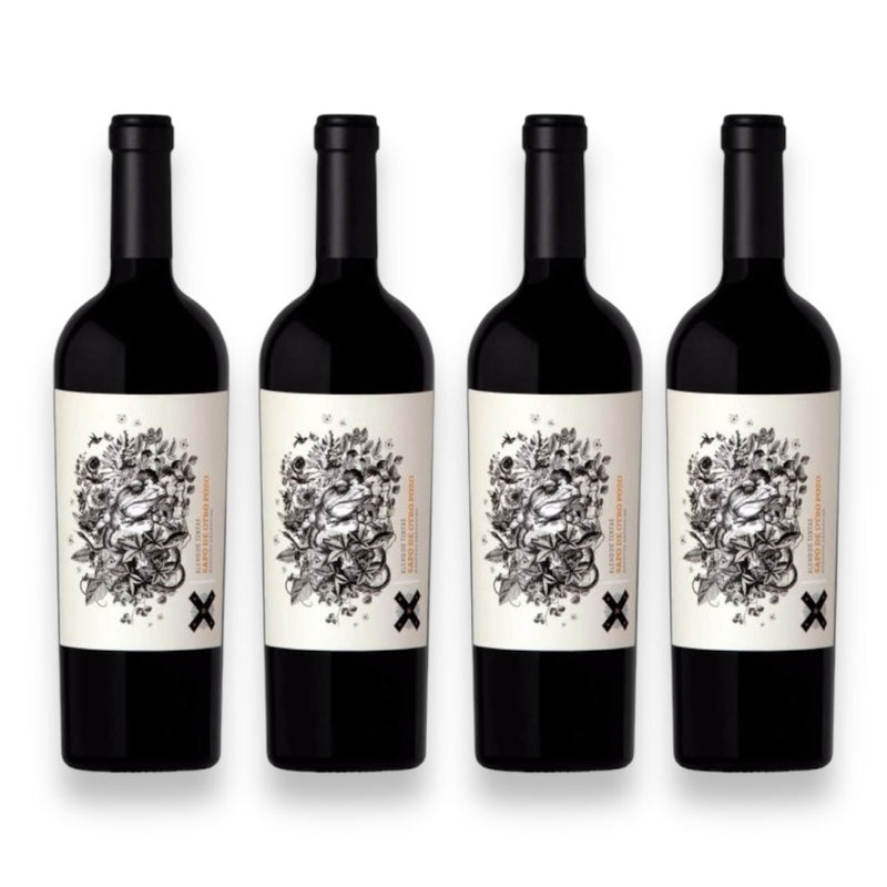 Kit 4 Vinhos Sapo de Otro Pozo